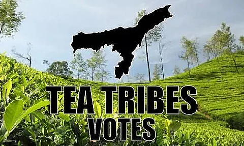 Assam Polls 2021: Opposition Promises Tea Workers Wages Hike, BJP Introduces Schemes, Which Way Will Tea Garden Votes Go?