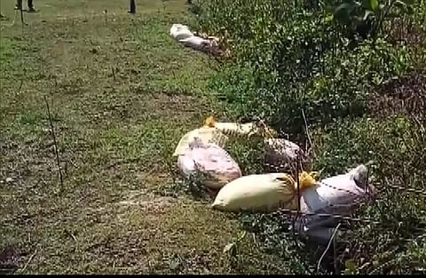 Crude Bombs Recovered in West Bengal's South 24 Parganas