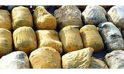 84 kg of opium worth Rs 4 crore seized in Manipur; one arrested