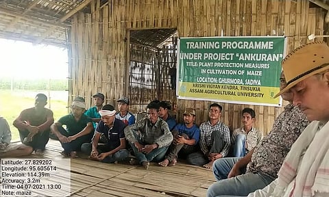 'Mini green revolution' in remote Sadiya hamlet on the cards