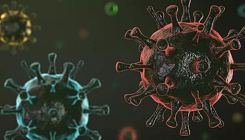 US reports over 20,000 coronavirus variant infections