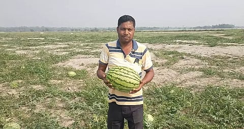 Bus driver Nazmul Hoque of village Silbori turns into progressive agri-preneur