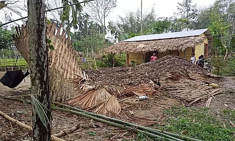 Wild jumbos wreck havoc in Tinsukia district