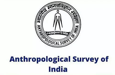 Anthropological Survey of India Shillong Recruitment 2021 - 01 Upper Division Clerk Vacancy, Latest Jobs