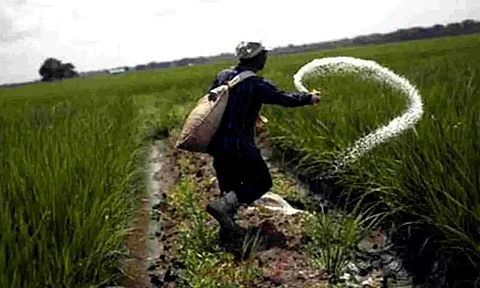 'Tapping Food Processing sector to support Agrochem industry'