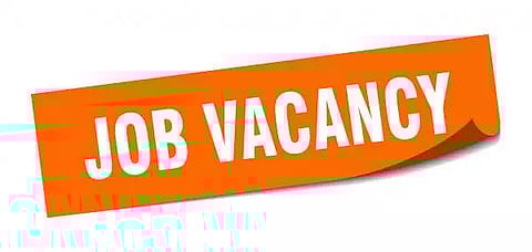 Nirvana Foundation Recruitment 2021 - Accountant and Others Vacancy, Job Openings