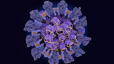 COVID-19: New Triple Mutant Variation Emerges In India