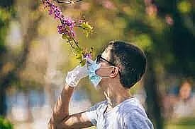 Avoid smell loss: Avoid steroids, try smell training