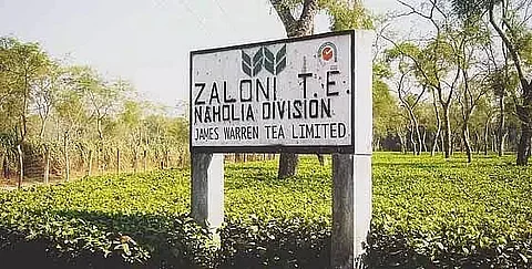 Dibrugarh's Zaloni Tea Estate records 123 COVID cases in 3 days