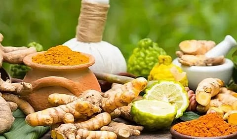 Indigenous herbal medicines helpful in treating mild to moderate COVID infection