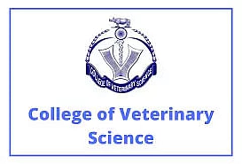 College of Veterinary Science Guwahati Recruitment 2021 - 07 Vacancy, Job Openings