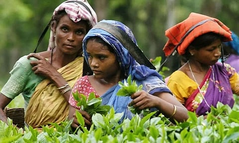 Welfare of Tea Tribes Minister Takes Charge, Assures Hike in Daily Wage as Promised