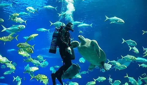 Ocean Dialogues 2021 to focus on climate, food, nature