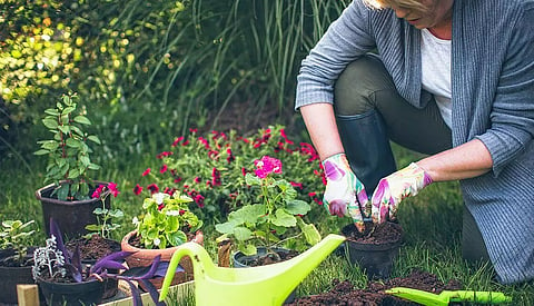 Can gardening be an effective way to fight depression?