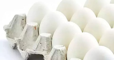 Shortage of Eggs Leads to Massive Spike in Price in Assam amid COVID Lockdown