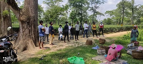 All Adivasi Students Association of Assam organizes COVID awareness camp in Demow
