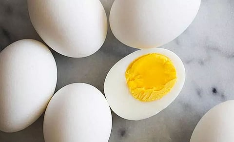 Top Six Brain-boosting Foods for Kids