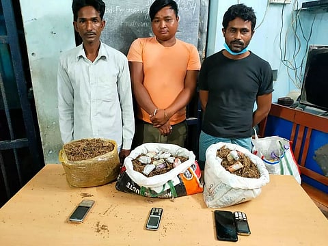 3 Drug Smugglers Arrested in Darrang District