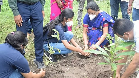 Japanese Miyawaki method of afforestation, plantation organized in Bongaigaon