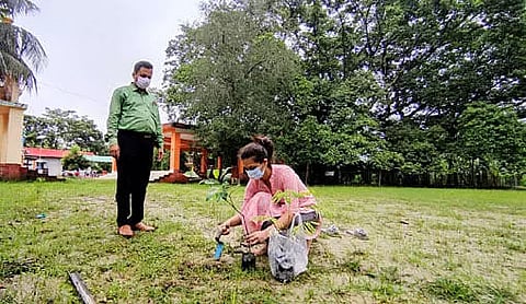 209th birthday of Banyan tree celebrated in Pathsala on the occasion of World Environment Day