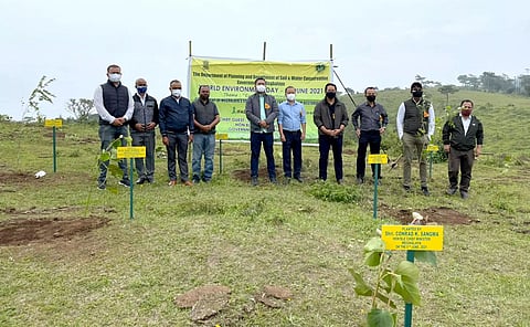 Meghalaya CM Conrad K Sangma plants saplings on World Environment Day