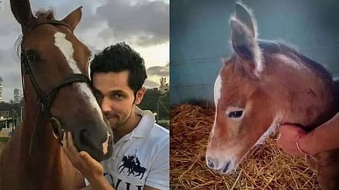 Randeep Hooda names baby horse after his mother