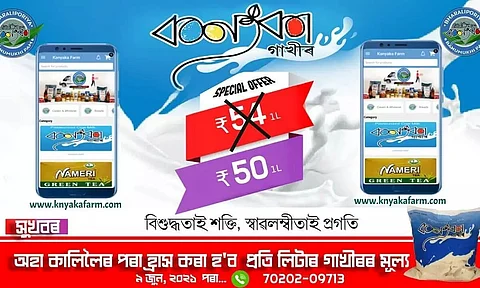 Relief for People: Kanyaka Dairy of Jamugurihat Slashes Milk Rates by Rs 4 a Litre