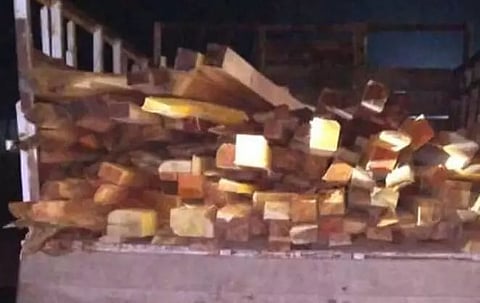 Assam Illegal Timber Trade Flourishing: Traders Flout Rules & Forest Department Clueless