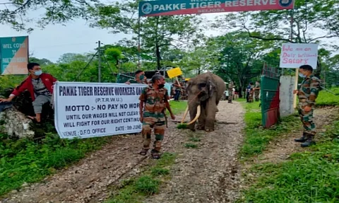 Arunachal Pradesh Pakke Tiger Reserve Workers go on Strike for No Pay
