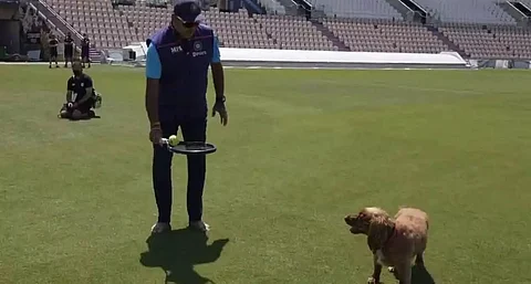 Ravi Shastri gives 'fielding classes' to Southampton curator's dog