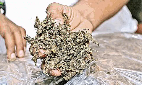 Railway Police seized 51 kg ganja from New Delhi