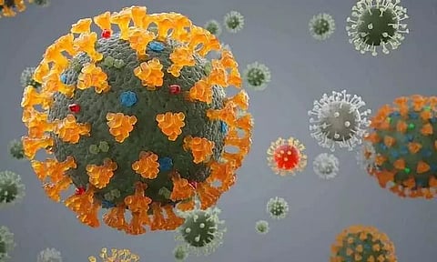 After Manipur Covid Delta Variant Found in Mizoram, 2nd State in Northeast