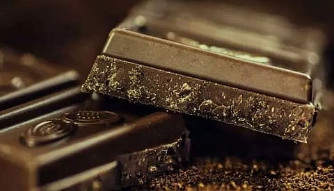 Start your day with chocolate to burn body fat: Study