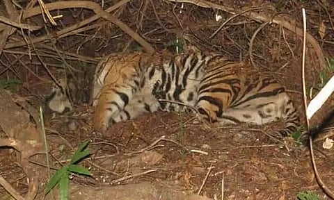 Representative Image