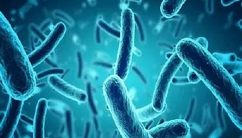 Patient suffering from black fungus passes away in Assam Medical College and Hospital