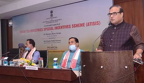 CM Himanta Biswa Sarma launches special incentive scheme to promote orthodox tea