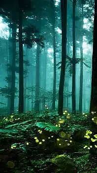 Places in India that glow in the dark