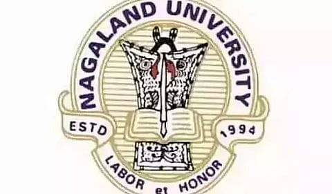 Nagaland University Recruitment 2021 - 05 Finance Officer, Director, Professor Vacancy, Latest Jobs
