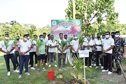 Special plantation drive by 142 Bn CRPF at Golaghat