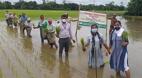 APART conducts technology demonstration for farmers in Lakhimpur