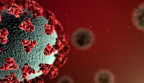 2,046 new COVID cases detected across Assam, positivity rate 1.54%