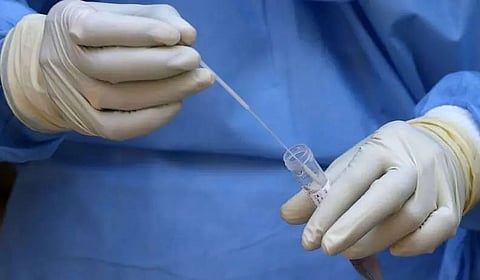 507 new COVID cases reported in Meghalaya