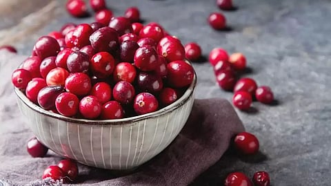 Cranberries: Nutritional Facts, Benefits, Side Effects and Diets