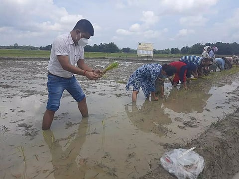 'Rice varietal cafeteria' inaugurated in Nazira of Sivasagar district