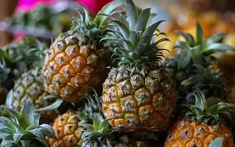 Sonitpur DC flags off first consignment of fruits from Balipara to Hyderabad & Delhi