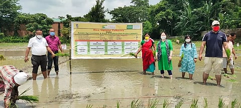 Agriculture Officer Arup Bora inaugurated Rice Varietal Cafeteria in Morigaon
