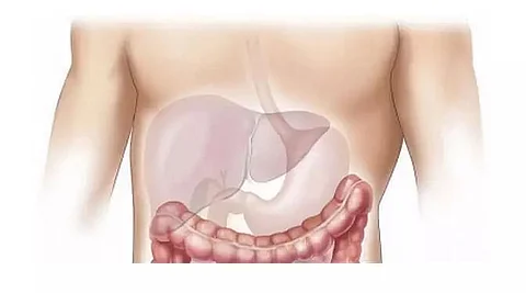 'Good cholesterol' may protect liver: Study