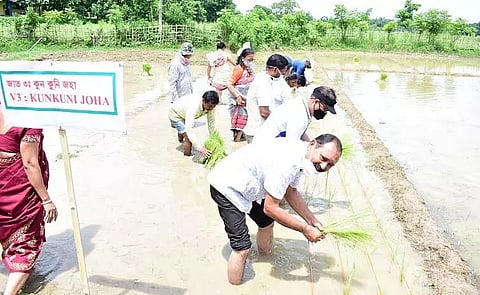MLA Prithiraj Rabha inaugurates crop cafeteria in Tezpur