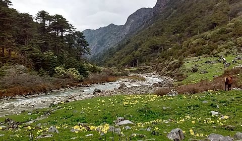 Arunachal Pradesh to host climb to Mt Gorichen & Bailey Trail trek