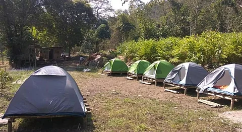 Nature camp at Dibru-Saikhowa national park held at Banashree Camp